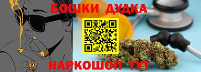 прущие грибы Заводоуковск