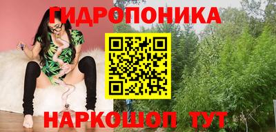 прущие грибы Заводоуковск